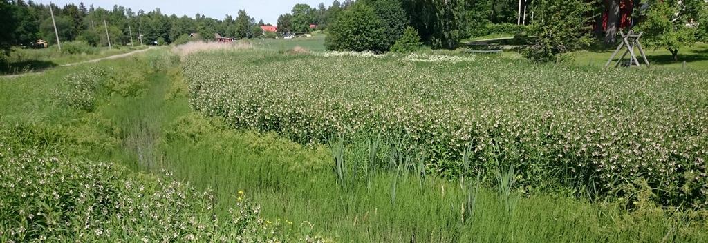 Vattenplan Strängnäs Bilaga kommun 9:58 / 53 C. Histaån Beskrivning Histaån är ett meandrande vattendrag som ligger i östra delen av kommunen.