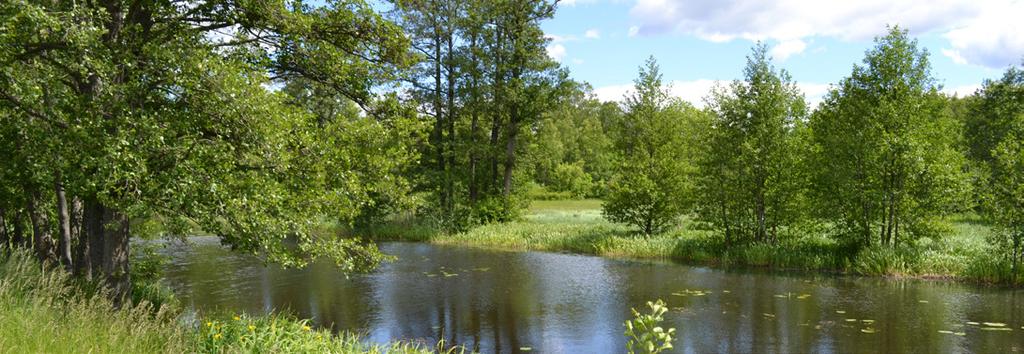 5 6 / Va t t e n p l a n S t r ä n g n ä s k o m m u n Bilaga 9:61 F. Råcksta å Beskrivning Råcksta å är ett meandrande vattendrag som ligger i södra delen av kommunen.