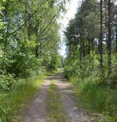 För att möjliggöra ett välordnat strandsstråk längs vattnet föreslås att vinteruppläggningen flyttas till annan plats.