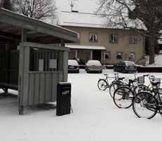 trädskikt. I områden som också hyser stora ekologiska värden bör sådana ingrepp ske med hänsyn till naturmiljön och i enighet med gällande restriktioner för området.