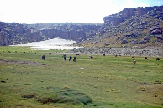 Potosí är upptagen på Unescos världsarvslista och är världens högst belägna stad, på 4090 m öh. Det är svårt att inte förälska sig i denna mysiga plats.