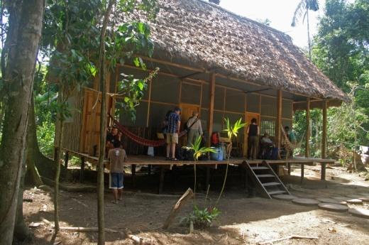 Boende i Rurrenabaque Frukost, lunch Dag 21- MADIDI NATIONALPARK På morgonen åker vi båt till Madidi nationalpark som är en del av Amazonas stora regnskogsområde.