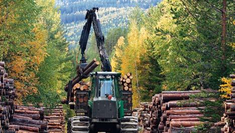 form av returlutar, bark och vedrester samt olja och naturgas. Produktion vid koncernens egna och delägda vattenkraftverk och mottrycksproduktion motsvarar drygt 30 % av elförbrukningen.