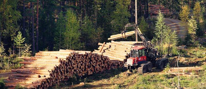 Viktiga bedömningar och uppskattningar I not 26 redogörs för väsentliga bedömningar och uppskattningar som om de ändras kan påverka resultatet 2008.