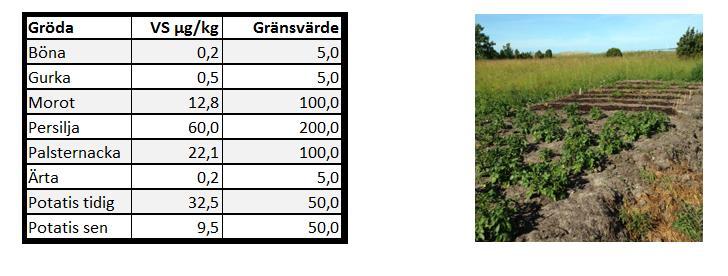 Tabell 2 I tabell 2 använder vi värdena som våtsubstans också kallat färskvikt eller våtvikt och omräknad cd-halt till mikrogram/kg.