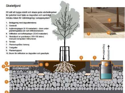 Figur 12: Exempel på uppbyggnad av skelettjord (Örjan Ståls föredrag Träd och dagvatten på Rörnätskonferensen i Malmö 1-2 april 2014).