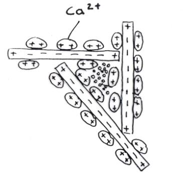 Kalciumprodukters fysikaliska effekter Basutbyte (tillförsel av kalciumjoner) ler-2h + + Ca 2+ ler- Ca 2+ +2 H 2 O ökad aggregatbildning lägre