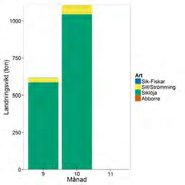 Övriga arter landas, som diskuterats ovan, enligt den officiella loggboken i låga kvantiteter, med sill/strömming och sik som de huvudsakliga bifångsarterna.