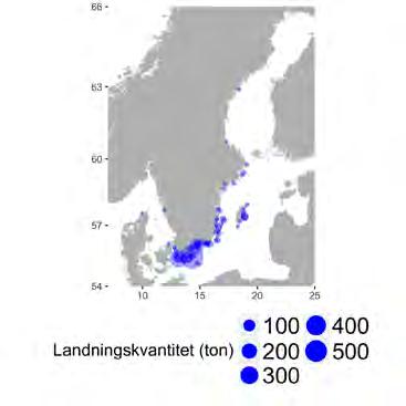 torskfångande garn och grimgarn (maskstorlek lika med eller över 110 mm), och krokredskap med fartyg över 8 m.