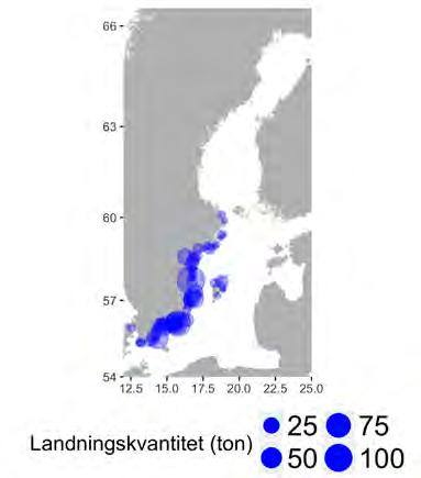 De främsta landningshamnarna är Västervik och Senoren med över 10 procent vardera av de totala landningarna 2015, följda av Sanda (Gotland), Simrishamn, Sandvik (Öland), Karlskrona-Saltö och