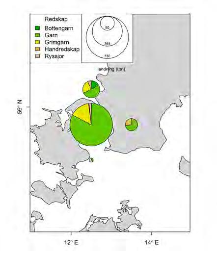 I det centrala delarna av Öresund fiskades det i huvudsak med garn och grimgarn (baserat på 2015 års data, Figur 2.10.6).