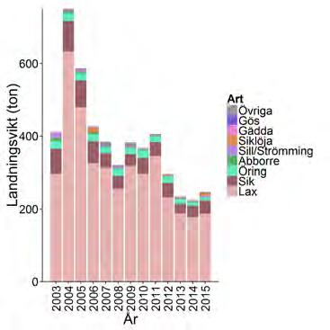 I yrkesfisket till havs och på kusten landades lax 2015 i huvudsak under juni och juli (laxkvoten är i regel uppfiskad i september; Figur 2.13.11).