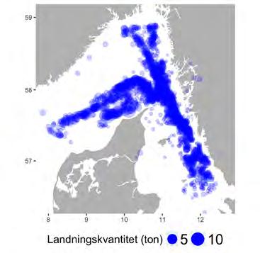 Utbredning av a) fiskeplatser (rapporterade landningar) och b) landningshamnar för bottentrålfisket efter havskräfta och fisk i Skagerrak och Kattegatt c) fiskeplatser av