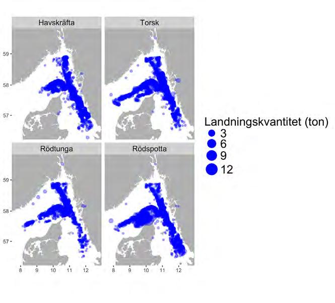 Aqua reports 2018:3 Landningar av rödspotta kommer från hela området men södra Kattegatt är av större betydelse liksom mera kustnära områden norr om Danmark.