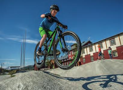 Ramundbergets cykelpark, Fjällgårdsbanan,