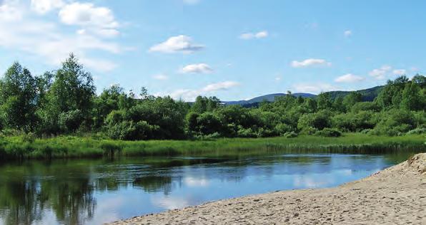 Vi når ut till samtliga hushåll i Härjedalen, och Klövsjö i Jämtland. Bladet finns även i butiker, turistanläggningar m.m. för turister och besökande och distribueras av oss själva och av Postnord.