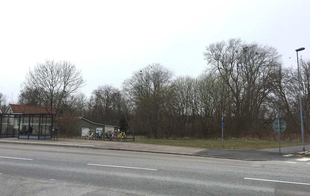 Om parken fortsatte ända fram till väg 9 längst med Ängavägen samt om man tillförde parken fitness redskap, lekplats, boule område etc.