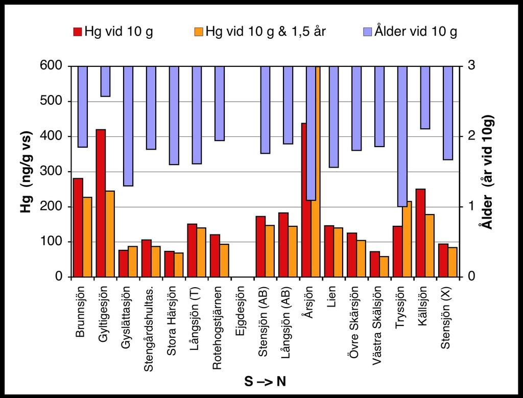 Figur 1: Kvicksilverhalter (ng Hg/g våt muskel) i abborre vid 10 grams vikt samt vid 10 grams vikt och 1+ ålder, samt medelåldern för en abborre på 10 gram i varje sjö.