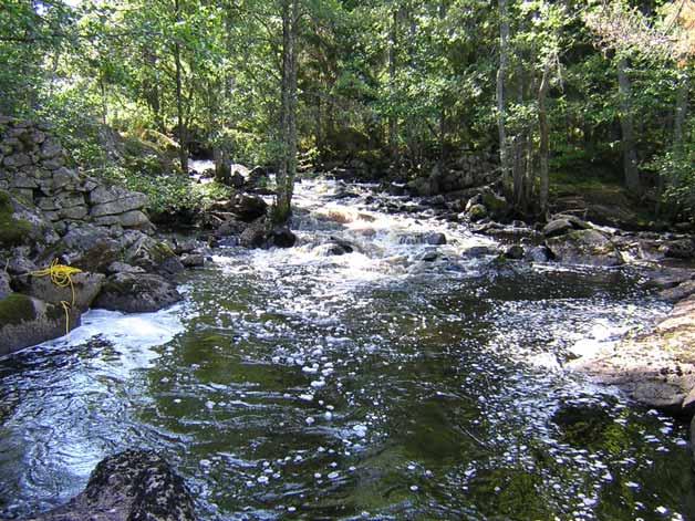 MEDDELANDE NR 2005:03 Utvärdering av elfisken i Vetlanda kommun 2002-2004