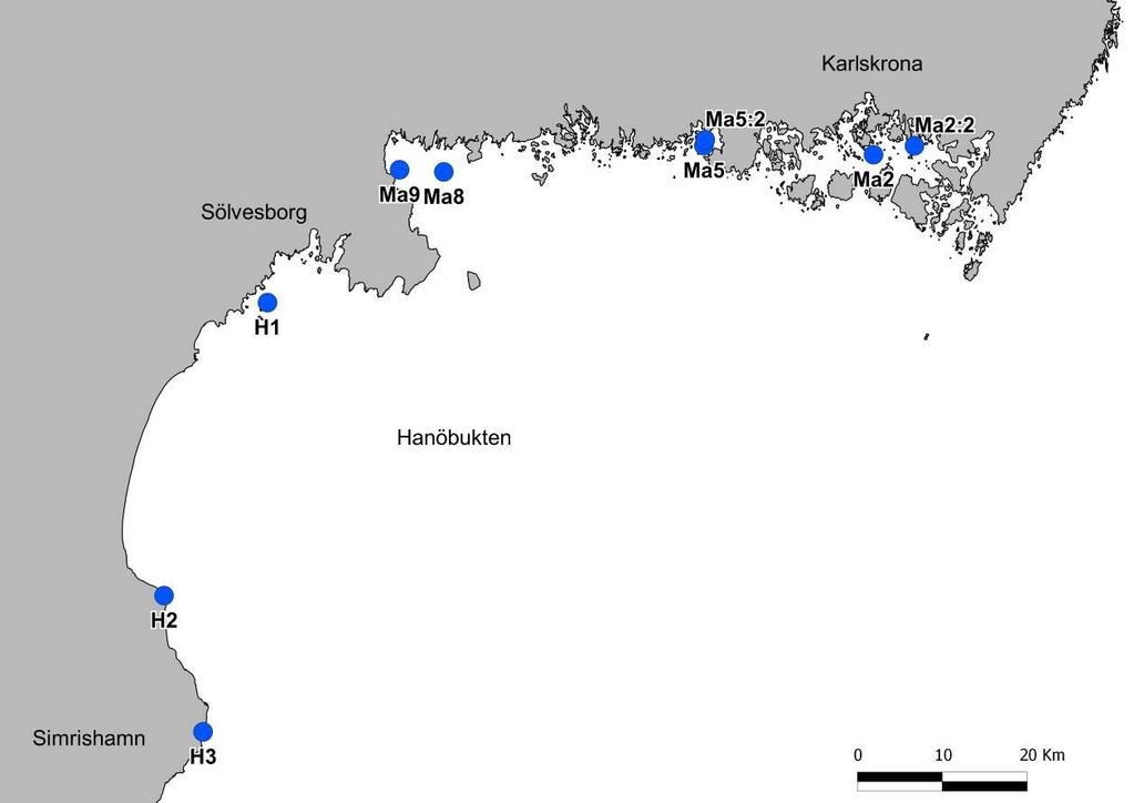 Hanöbuktens kustvattenmiljö 13 Medins Biologi AB 4. Makroalger och epibenthos 4.