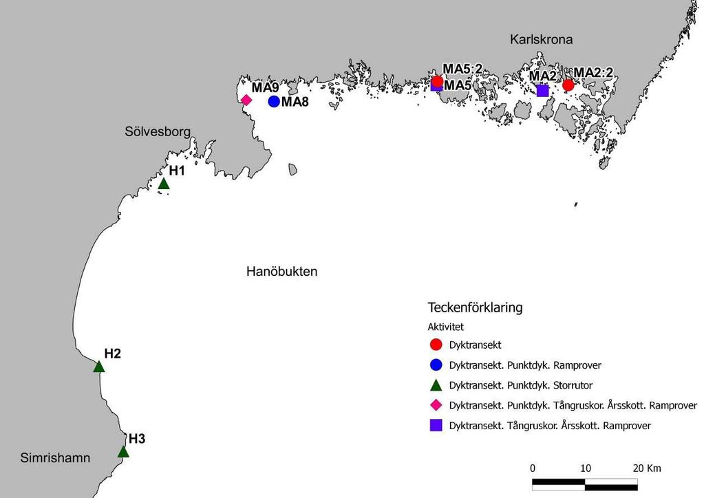 Hanöbuktens kustvattenmiljö 13 Bilaga 1 Insamling av årsskott av blåstång Toppskott av blåstång (Fucus vesiculosus) samlades in på 3 lokaler (Tabell 1, Figur ).