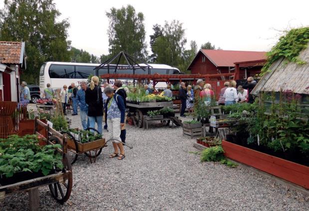 Utmärkelsen Trädgårdens eldsjäl 2017 tilldelades den här gången två eldsjälar, i form av makarna Ulla och Åke Persson.