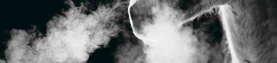e Turo Thrust - : --, : --, Tot: -- Miss Ask e Keystone Symore Svein S / - /, Uppf: Nilsson Roger S, Löerö inesjö / - /, Äg: Stll Roni Ingves P / - /, Svrt, vinrött r m tringel&ärm; sv Örerg B Ti / -