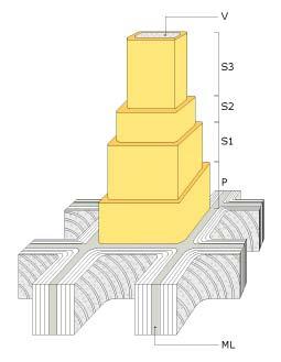 Figur 4. Fiberväggens uppbyggnad.