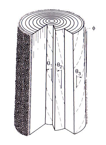 Skevheten beror enligt Ormarsson (1999) i sin tur på hur nära kärnan virket är taget.