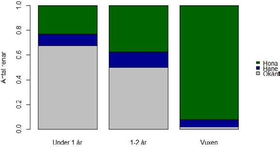 Figur 5. Könsfördelning hos tamren som dödats av kungsörn (dokumenterad eller bedömd som säker) i Norge perioden 2005 2015 fördelat på renens ålder. 2.4.