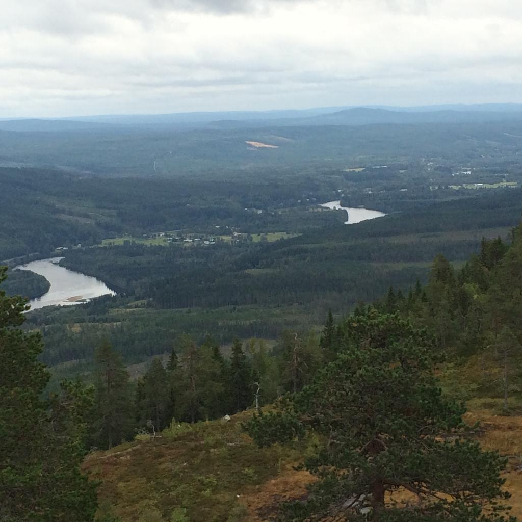 grön omställning och hållbar