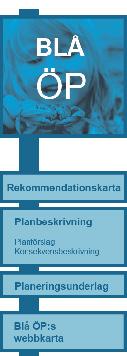 LÄSANVISNING en blå översiktsplanen beskriver mål och strategier för utvecklingen av havet i norra Bohuslän. Mål och strategier som konkretiseras i rekommendationer för användningen av havsområdet.
