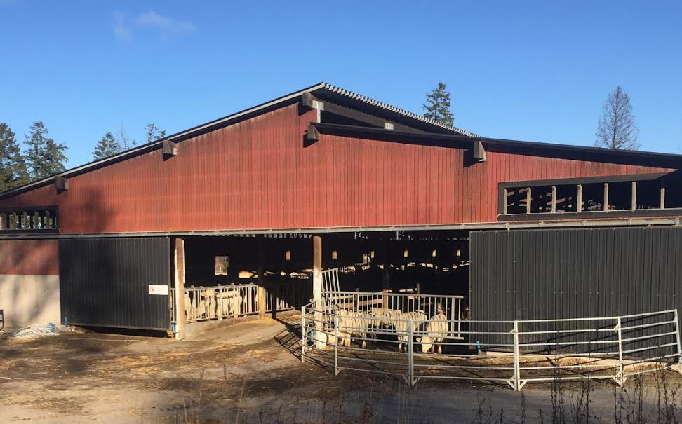 Djurstall på Bosgård. egen regi antingen i den egna gårdsbutiken eller genom ett eget köttstyckeri i Helsingfors.