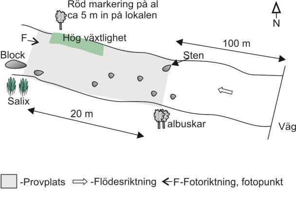 - - - - - - - - - - - - - - - - - - - - - - - - - > Antal fångade Rönne å - vattenkontroll Vattendrag: Rönne å Datum: -- Lokal: V.