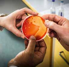 Diabetes Cancer Reglerteknik och styrning av komplexa