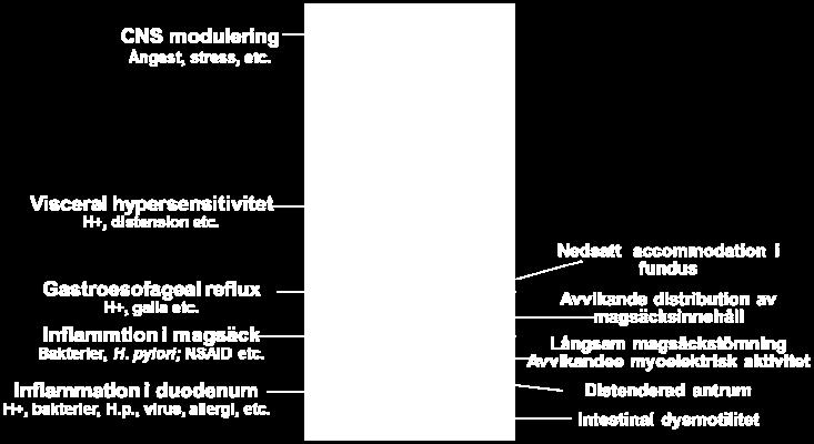 Baserat på ålder och/eller alarmsymtom/tecken Empirisk syrahämmande