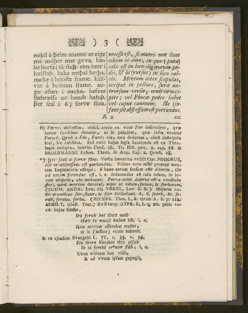 ' ) 3 ( mikil å f>eim manne ereige må mo >er mat geeva. hag lar horfa i tå ftafr enn ta^rr i hadfhfx haka mef>al her >a. nacke å briöfte frame. kålfvar å beinum frame. augu aftan i nacka.