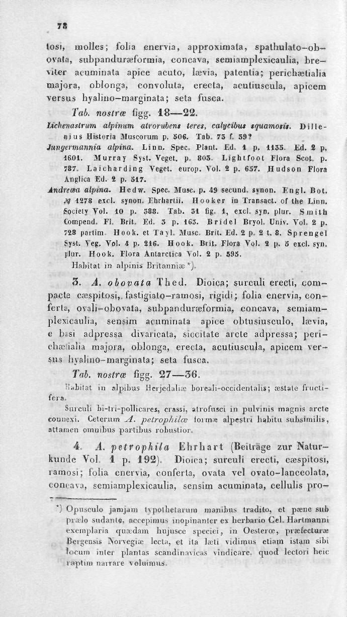 715 tosi, uiolles; folia enervia, approximala, spathulato ob ovala, subpandura-fortnia, concava, semiainplexicaulia, bre- \iter aeuminala apice acuto, kevia, patenlia; perichajtialia majora, oblonga,