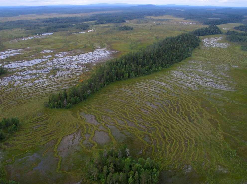 SCB 11 MI 41 SM 1801 De största arealerna skyddad mark; totalt och bestående av våtmark, finns ovan fjällnära gräns inom region 1.