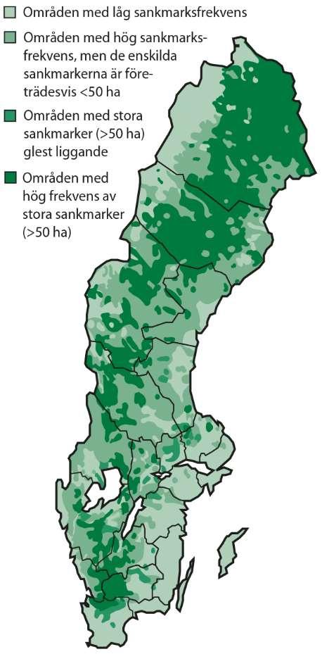 Minst hälften av den vegetation som finns är hydrofil.