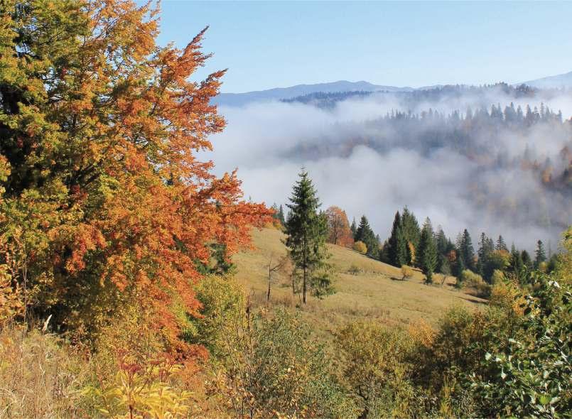 Judeţul Neamţ, un ţinut plin de istorie, cultură, tradiţii, oameni gospodari şi primitori şi o natură de-a dreptul spectaculoasă te aşteaptă să-i treci graniţele.