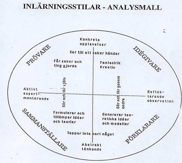 HUR LÄR MAN SIG? Skapa kunskapen själv Olika lärstilar: Visuellt Auditivt Kinestetiskt Taktilt Laborationer, seminarier, grupparbete OK OK Kursböcker, föreläsningar, egenstudier OK? OK? ALTERNATIVT MATERIAL FÖR ATT SKAPA KUNSKAP http://en.