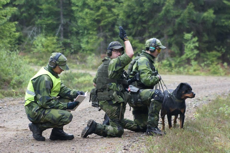 Tiden gick och vips så var vi där. Hv-skallet 2017 skulle genomföras. Rikshemvärnchefens utbildningskontroll för hundekipage med omgång.