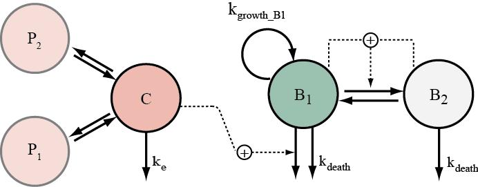 PK/PD och resistens Alternativ approach Farmakokinetik (PK) Läkemedelskoncentration vs tid