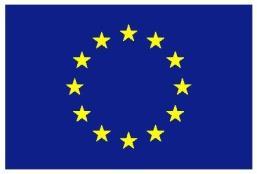 EUROPEISKA UNIONEN