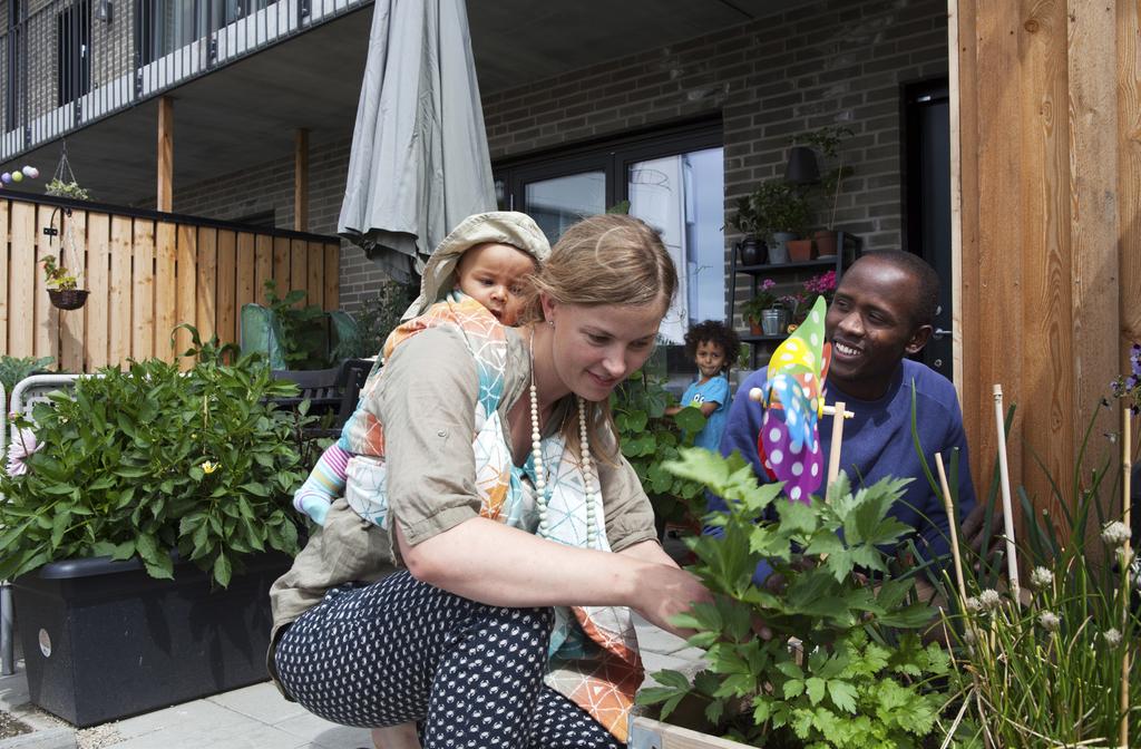 2. GEMENSAM ODLING I Greenhouse odlas även gemenskap. På takterrassen finns den gemensamma odlingen där de boende samsas om ytan och det som planteras och skördas.