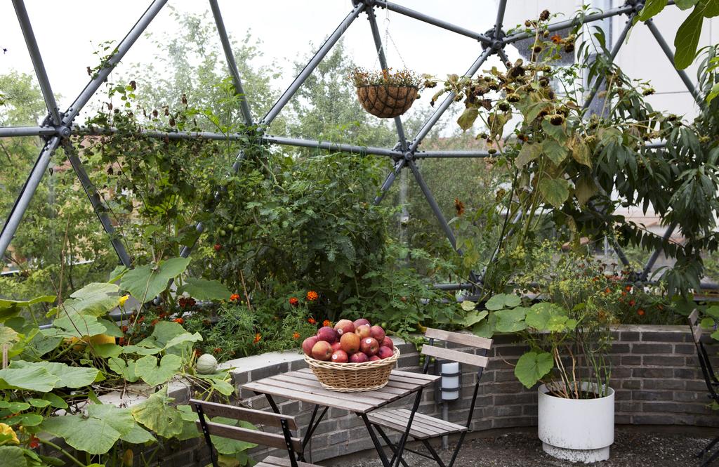 3. BOENDESAMVERKAN Det finns ett genuint och stort engagemang i Greenhouse för såväl huset som odling och miljöfrågor i stort.