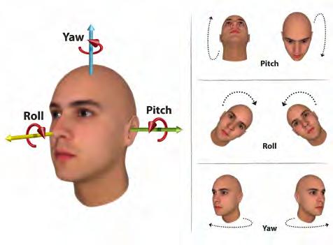 B. View-based object recognition A core question in cognitive research is how humans learn, represent and recognize objects.