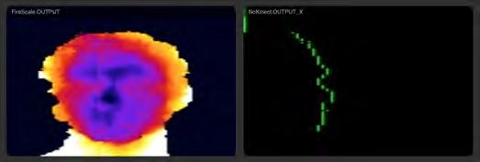 profile of the head in the point closest to the camera. If the face then was looking forward we would be able to see the nose sticking out from the rest of the face.