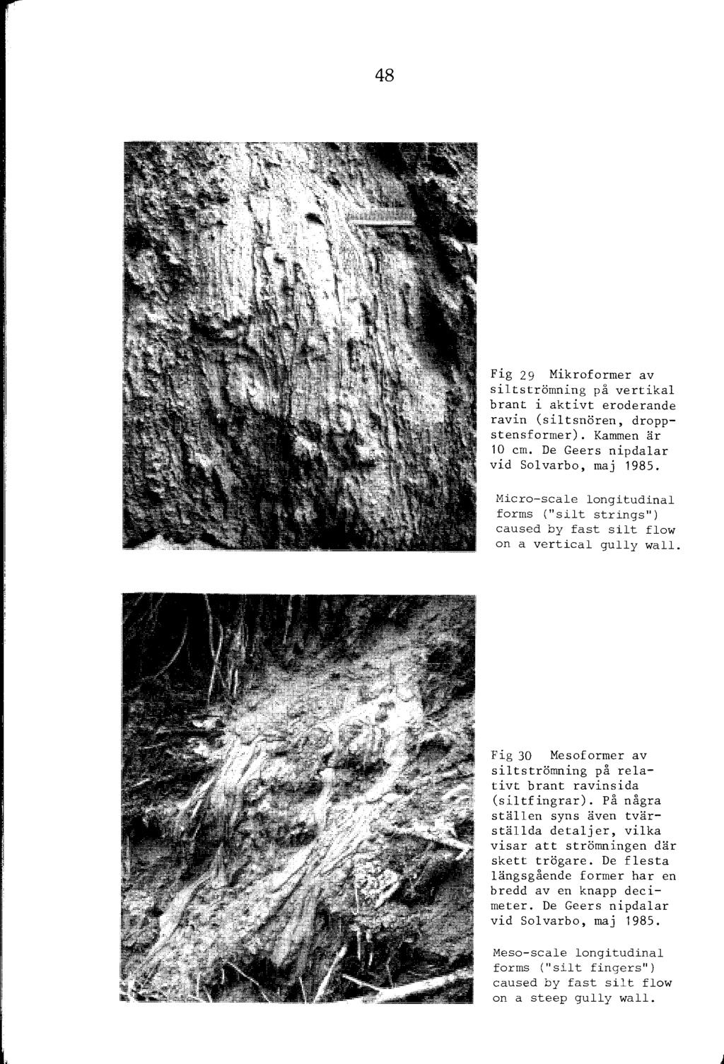 48 Fig 29 Mikroformer av sitströmning på vertika brant i aktivt eroderande ravin (sitsnören, droppstensformer). Kammen är 10 cm. De Geers nipdaar vid Sovarbo, maj 1985.